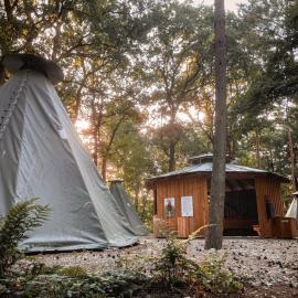 Wolfcenter Tipis - ohne Betten - inklusive Eintritt in das Wolfcenter für zwei Tage, hotel v destinaci Dörverden