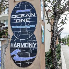 Ocean One - Harmony!