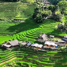 Black Hmong Sapa Homestay Family