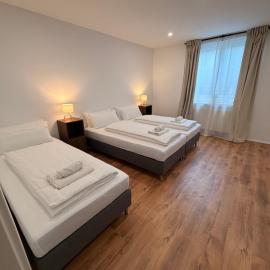 DLG STAYS I Panorama 120