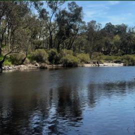 Riverfront, Tiny Home in Natural Bush, hotel v destinaci Bridgetown