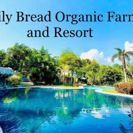 Daily Bread Organic Farm and Resort