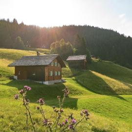 Heimatliebe