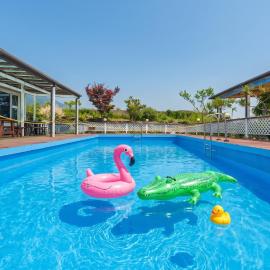 Yangyang Monti Pet Spa Pension, hotel in Yangyang