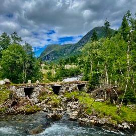 Haukedalen mountain panorama river view, hotel in Holsa