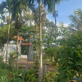 The Vyc Home