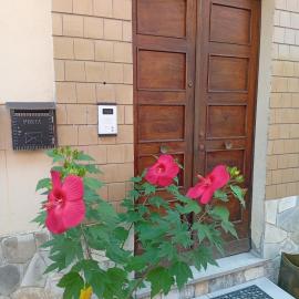 Da Rina, хотел в Stazzano