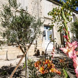 Les crins du vignoble, hotel in Loches-sur-Ource