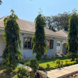 Mwanati Executive Lodge、Liwondeのホテル