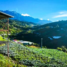 Triple A Kundasang, hotel in Ranau