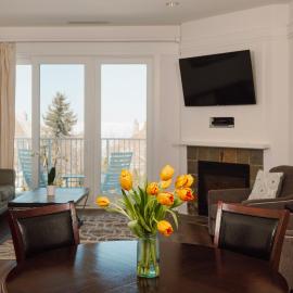 Maritime Lakeview Suite 317: Cozy 2-bedroom condo with stunning lake views in Bay Harbor, MI., hotel in Petoskey