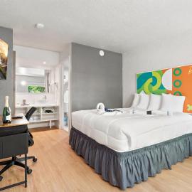 Hotel-Style Room Pool, Disney Shuttle