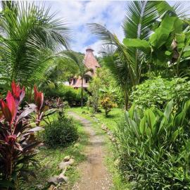 Don Jon's Surf and Yoga Lodge