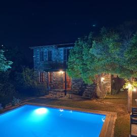 Stone mansion with private pool and garden and authentic village house