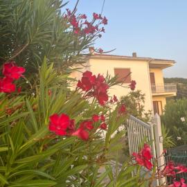 Villa Giardino degli oleandri Palinuro, hotelli kohteessa Palinuro