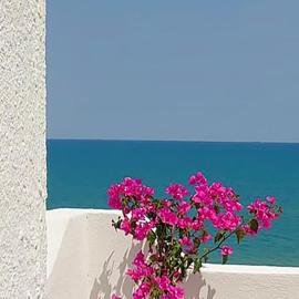 Casa Merla, terrazza vista mare, hotel v destinaci San Menaio