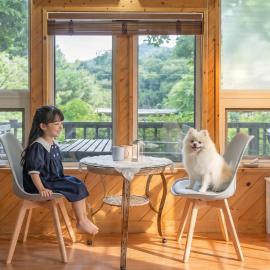 Hongcheon Lime Orange Pension、ホンチョンのホテル