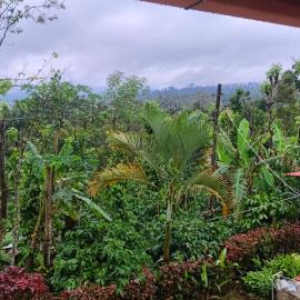 Estateview Villa Homestay