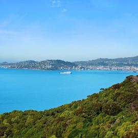 Million Dollar View, hotel in Wellington