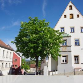 Hotelgasthof Bayerischer Hof, hotel in Sulzbach-Rosenberg
