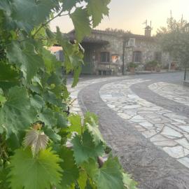 La casa di Bruno