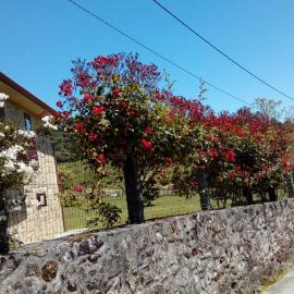 Casa da Poza, hotel in A Estrada