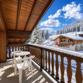 Chaleureux appartement au pied des pistes avec parking et animaux admis - FR-1-505-65