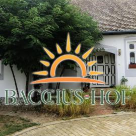Báta में, होटल Bacchus-hof