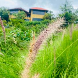 The Yellow Retreat, hotel en Wai