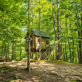 Off-Grid Treehouse White Mountain National Forest, hotel in North Lovell