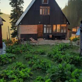 Bakhmaro Lodge, hotel in Bakhmaro