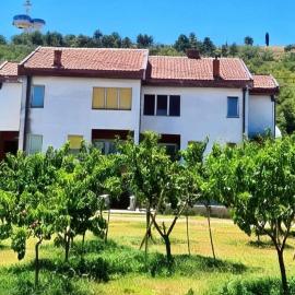 Kiwi house