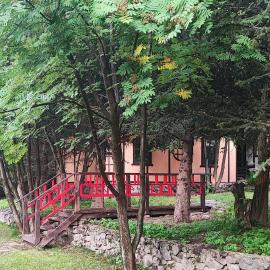 Pine Park Mountain Cottages near Almaty