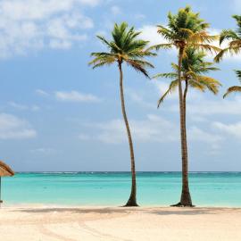 Tropicana Sol Caribe Beach Pool STUDIOS Los Corales Bavaro WiFi PARKING &SPA