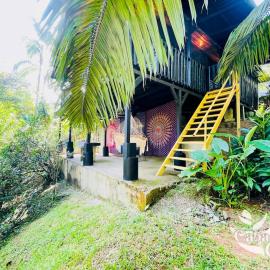 The Monkey Cabin, Walk to the beach!