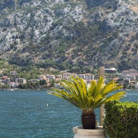 Lime by Kotor, hotel a Muo