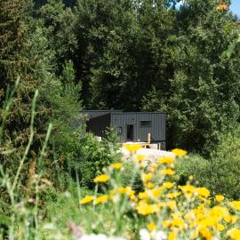 Tinwood Cabins The Climb, 3 mins to Rossland, hotel a Rossland