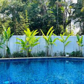Conifer - Your Private Resort Pool Retreat, hotel a Gold Coast