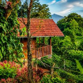 Sinharaja Forest Lodge - Deniyaya, hotel a Dombagoda