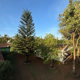 The Big Cat's Den - Maravakandy Resort, Masinagudi, hotel in Masinagudi