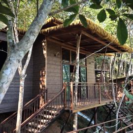Khao Sok Jungle Roots Resort