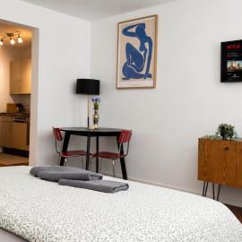 Central Studio Apartment with free BaselCard - Magritte