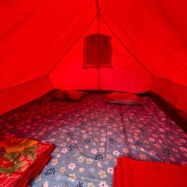 Guester homestay and campsite