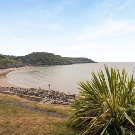 1 Bed in Caswell Bay oc-h45734
