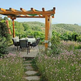 Mikros Paradisos Pelion, khách sạn ở Áyios Vlásios