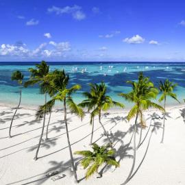 Tropical Adventure Studios Suites HOTEL Beach CLUB & SPA، فندق في بونتا كانا