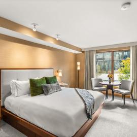 Luxury Resort Ski In Ski Out Studio