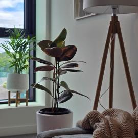Modern 1BR with covered Balcony I Alphington I Fast WiFi I Free Parking I Walking to Alphington Train Station I Minutes to Melbourne CBD