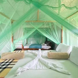 Green Tree House Yala, hótel í Yala