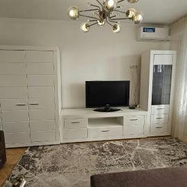 One room apartment, Botanica